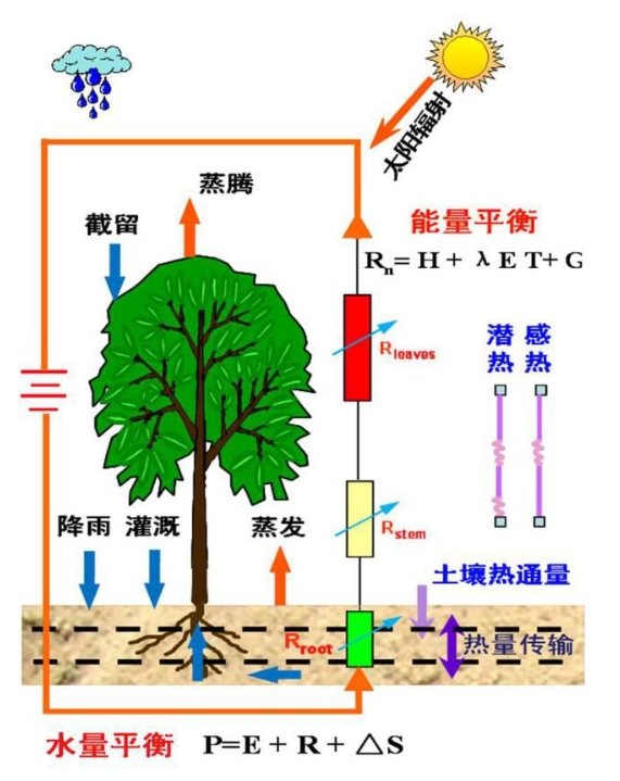 蒸散量測(cè)定方法及原理！