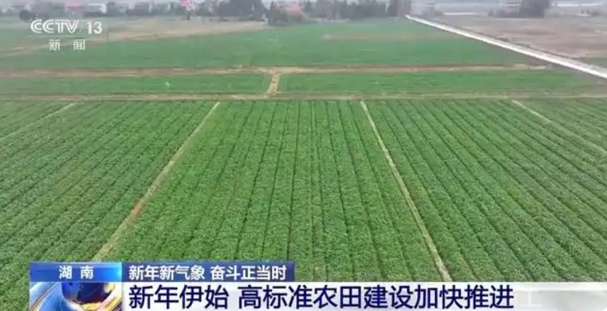 灌溉不再“一炮轟” 高標準農(nóng)田持續(xù)“更新”